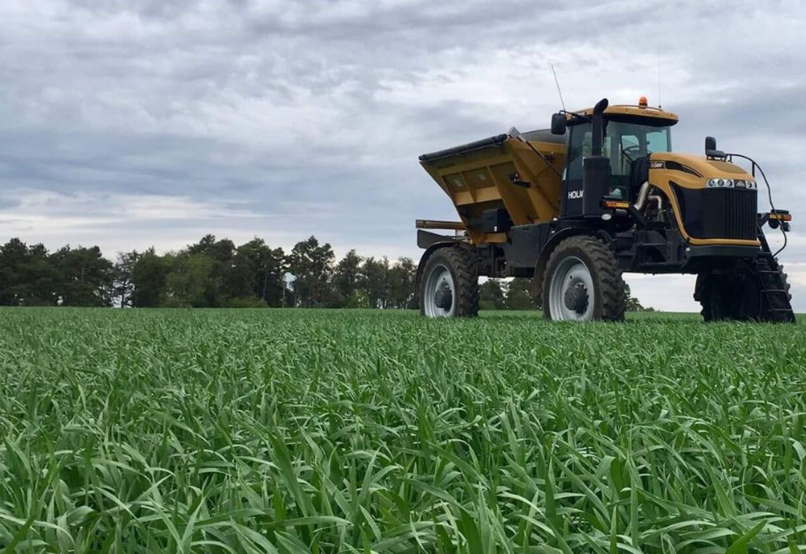 One of Holmes Agromart's trucks on the field.