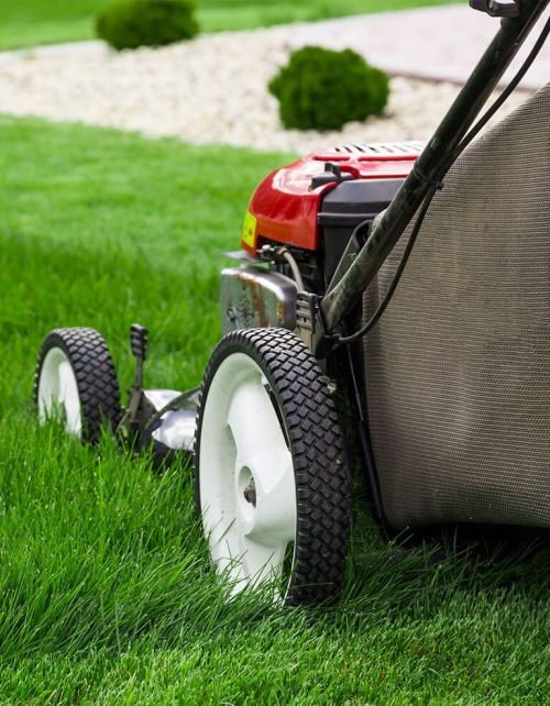 Holmes Agro lawn and garden image lawn mower on turf