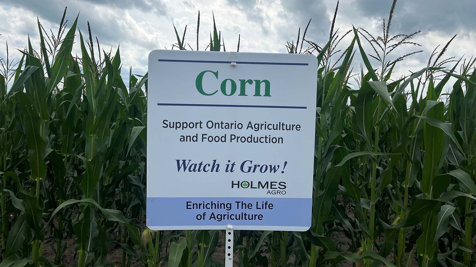 junior agronomist photo showing a corn sign