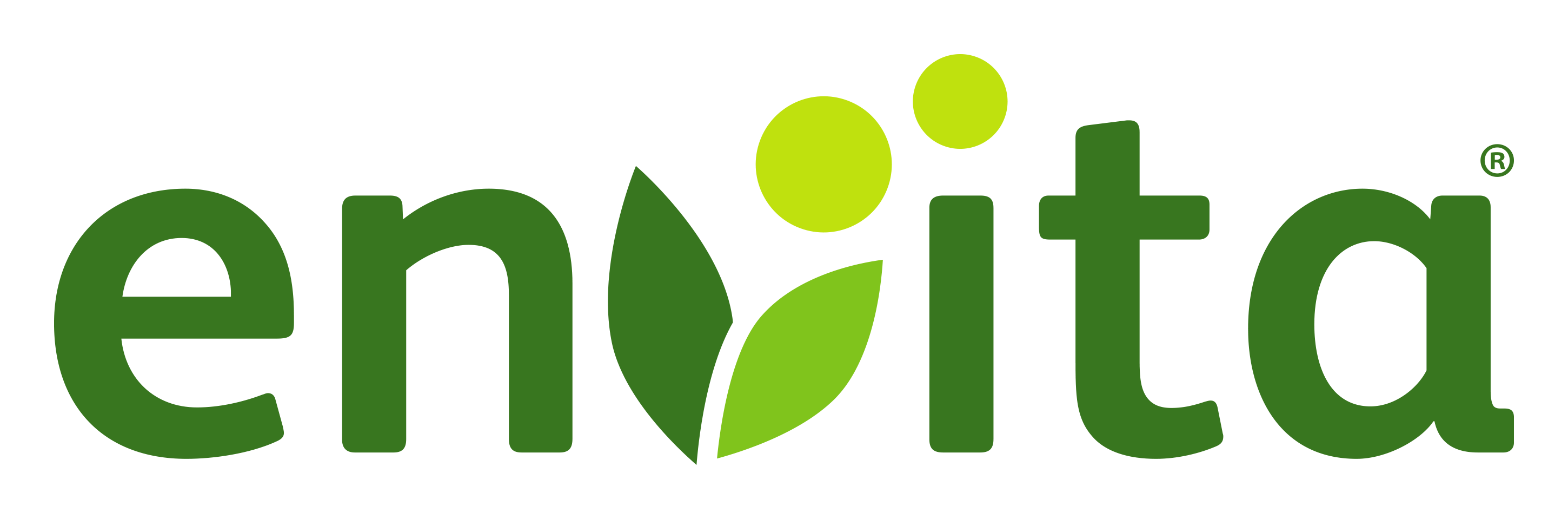 Envita logo in green