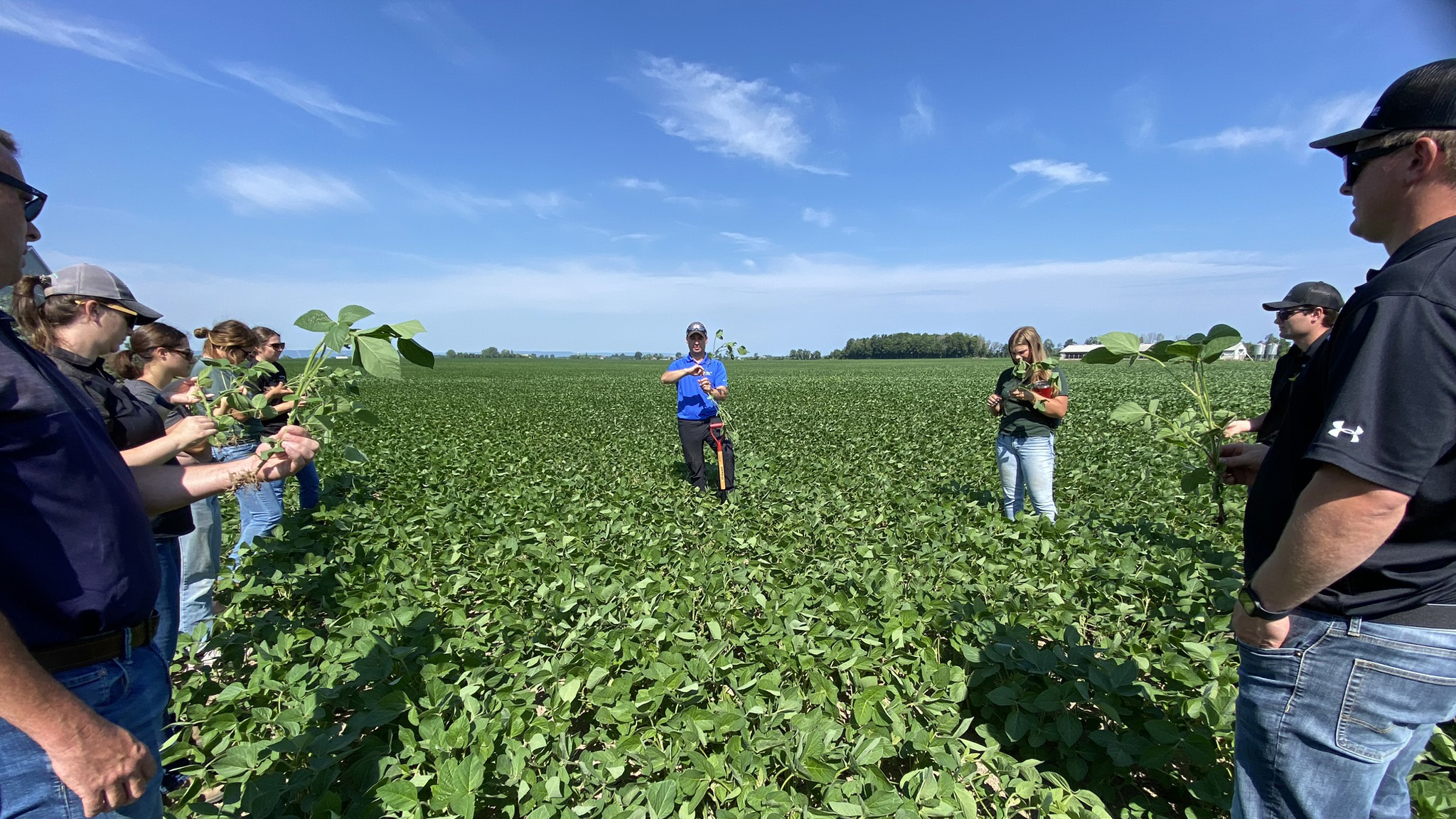 A gathering of agronomists in the field.