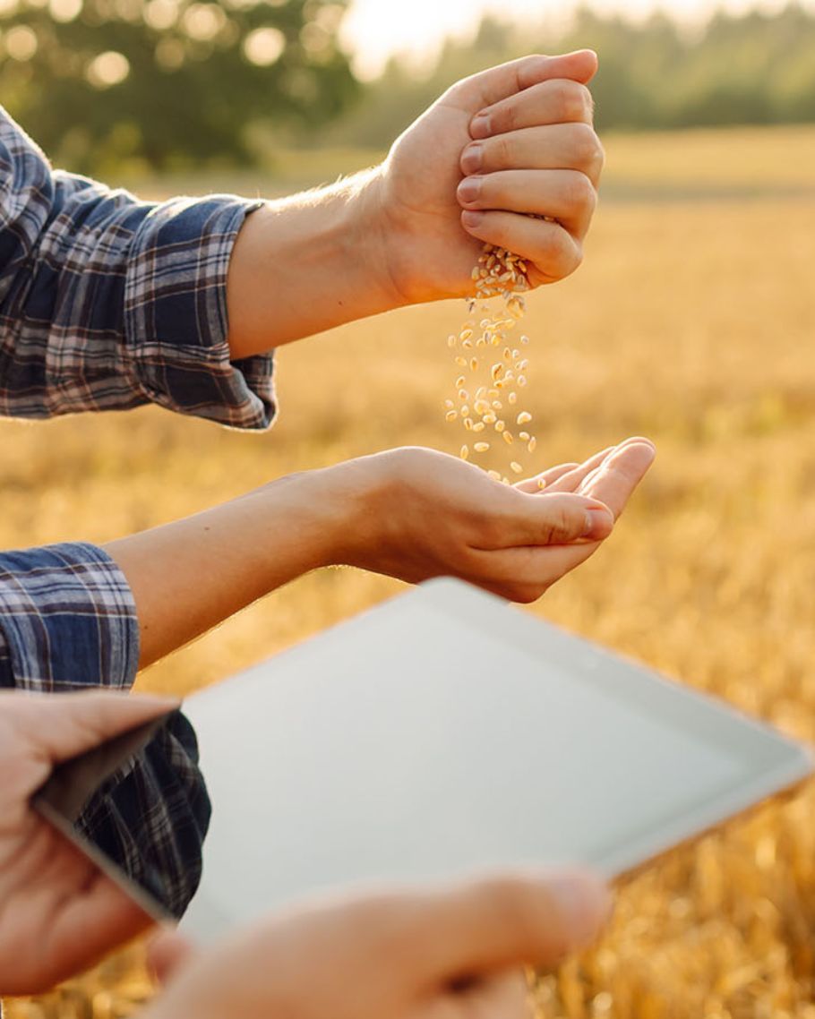 Examining seed