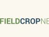 Holmes Field Crop News hero image logo and beige background