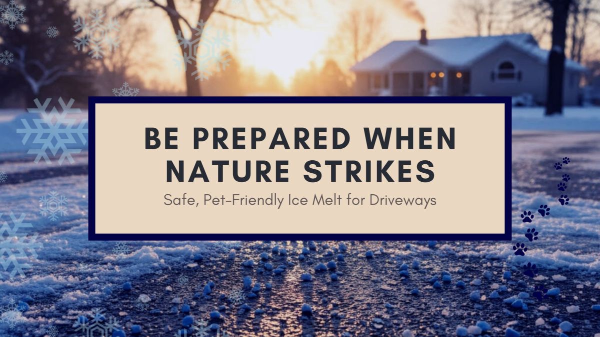 Winter themed banner promoting ProMelt enhanced, pet-safe ice melt for safer driveways, steps and walkways