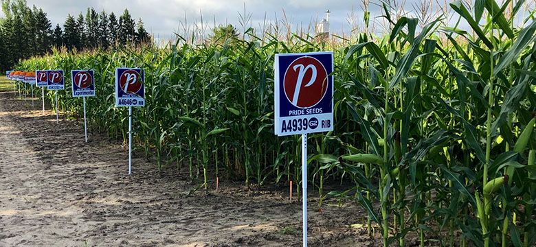 Holmes Agro precision ag seed crop