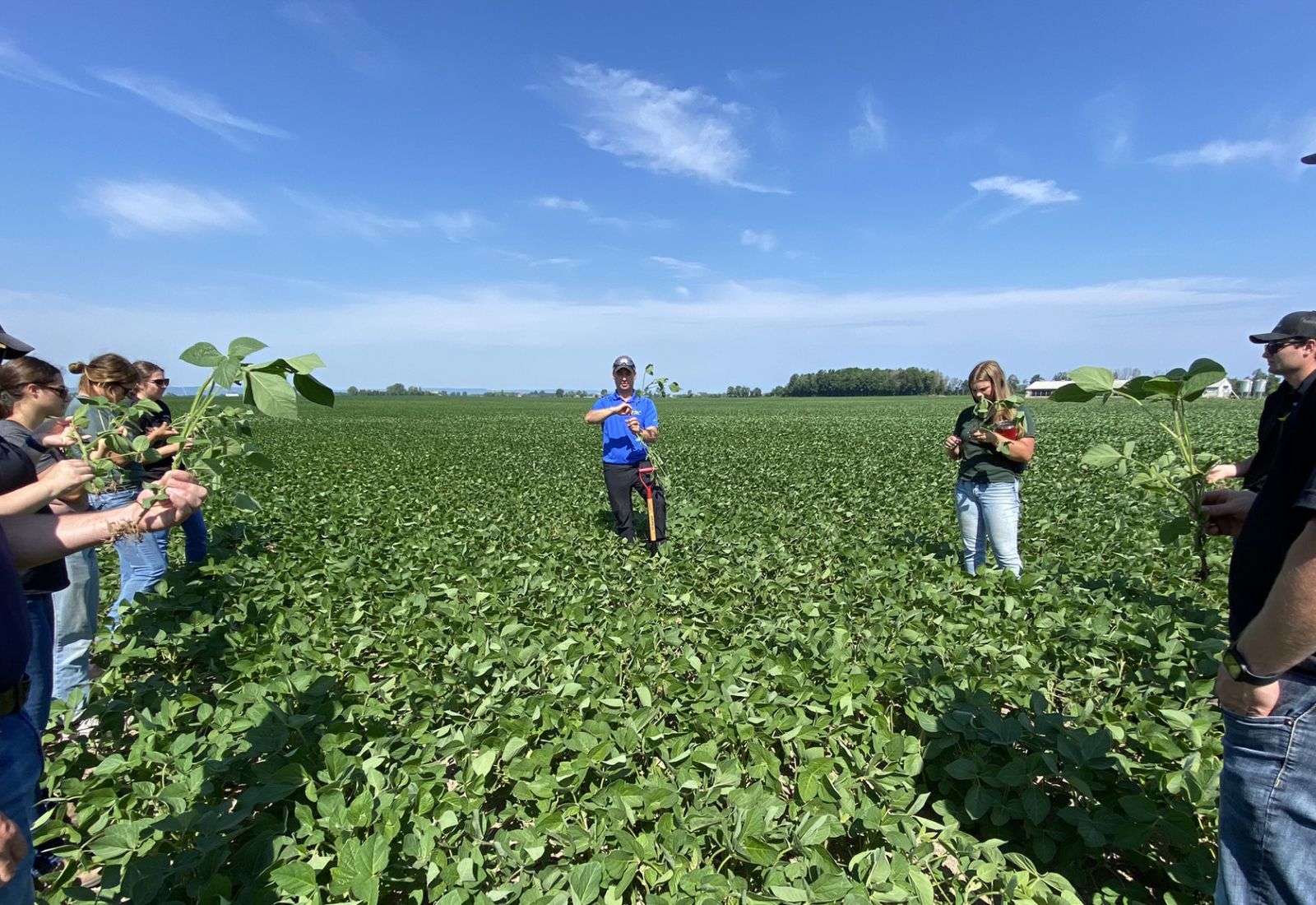 A gathering of agronomists in the field.
