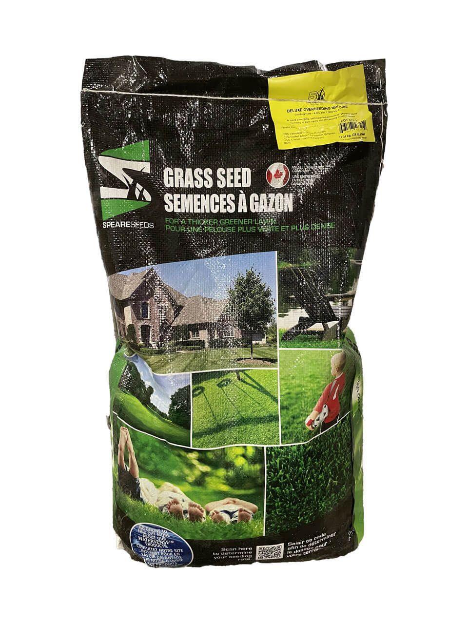 Grass Seed